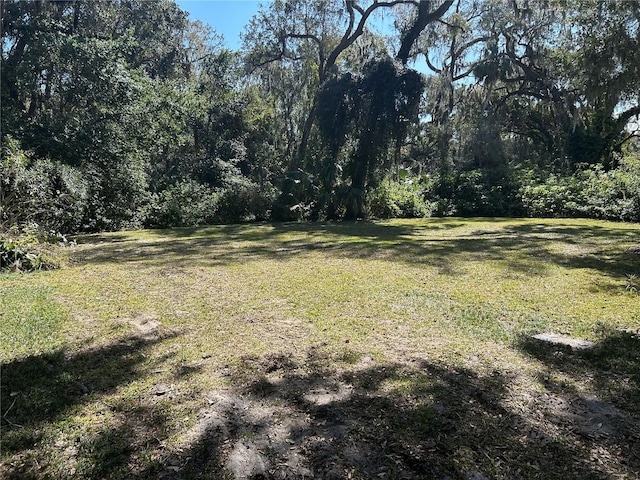 16 Carolina Hwy, Palm Coast FL, 32137 land for sale