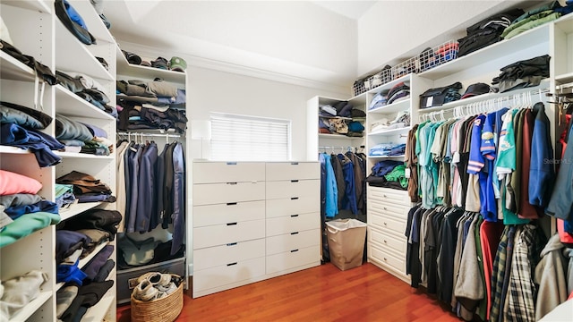 spacious closet with hardwood / wood-style flooring