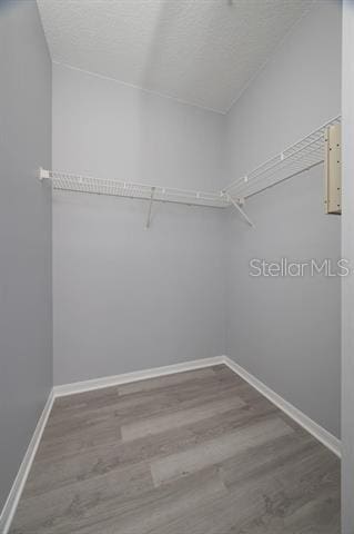 spacious closet featuring hardwood / wood-style floors