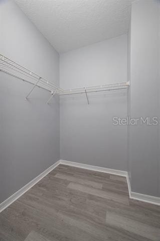 walk in closet with hardwood / wood-style flooring