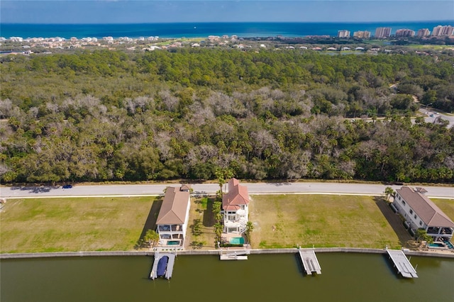 bird's eye view with a water view