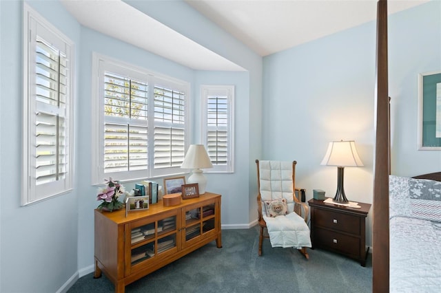 23 Pelican Ct, Palm Coast, FL 32137 - photo 45