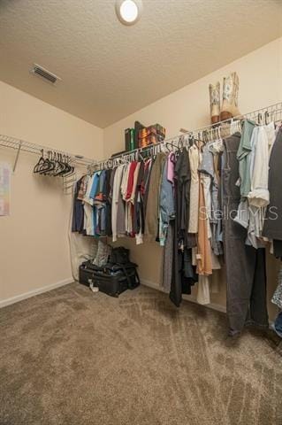 spacious closet with carpet flooring