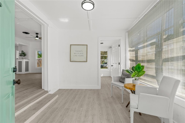 hall with a wealth of natural light and light hardwood / wood-style floors