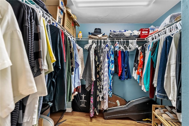 spacious closet with hardwood / wood-style flooring