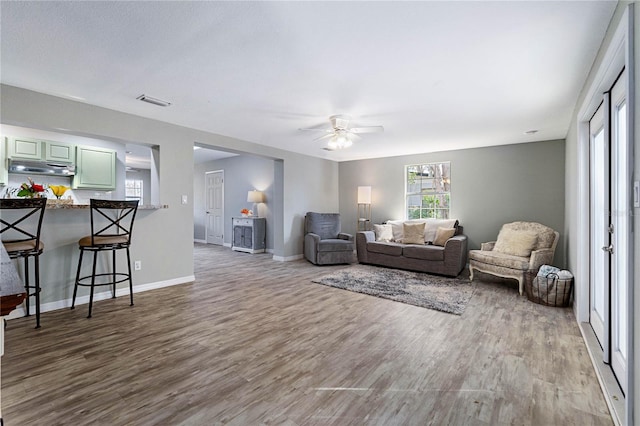 living room with ceiling fan, a wealth of natural light, and wood-type flooring