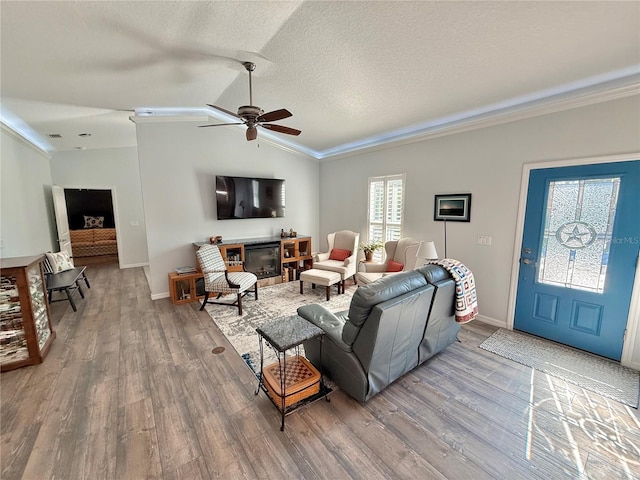 living room featuring lofted ceiling, wood finished floors, baseboards, and a textured ceiling