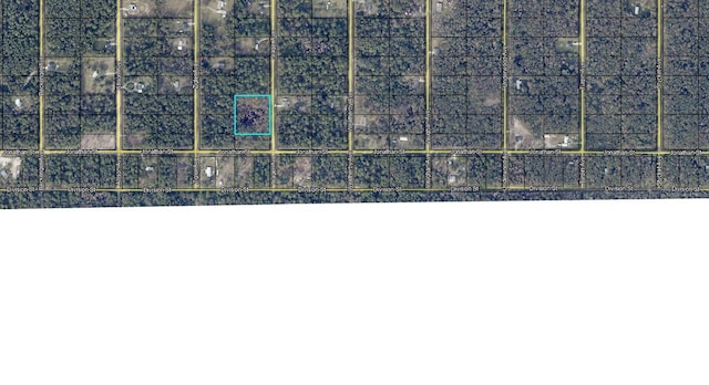 10715 Yeager Ave, Hastings FL, 32145 land for sale