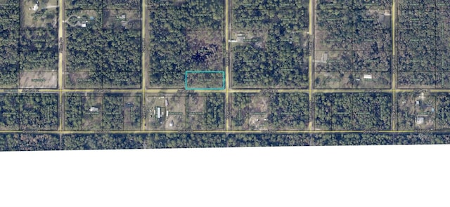 10735 Yeager Ave, Hastings FL, 32145 land for sale