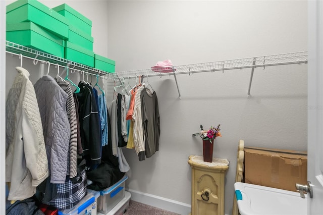 spacious closet with carpet floors