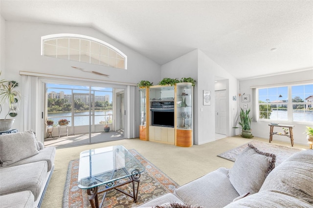 living room featuring light carpet, vaulted ceiling, and a textured ceiling