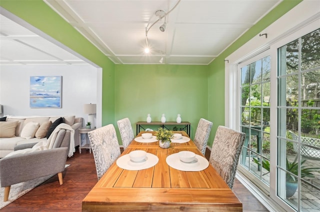 dining room with track lighting and dark wood-type flooring