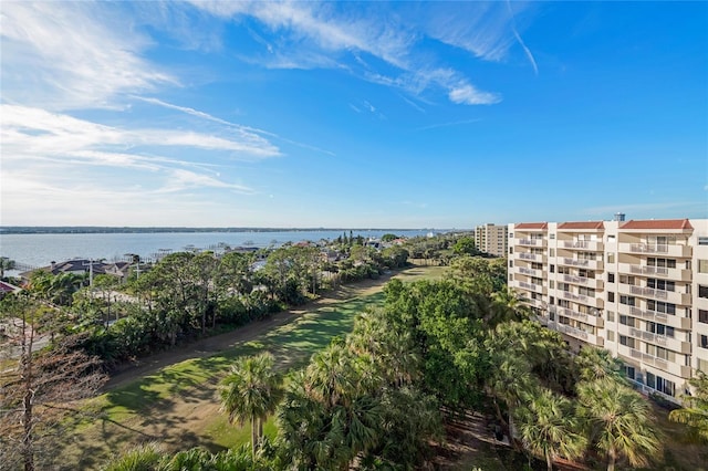 aerial view with a water view