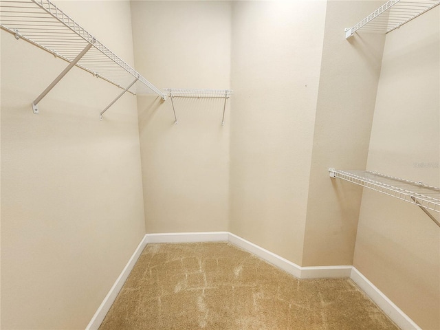 walk in closet featuring carpet