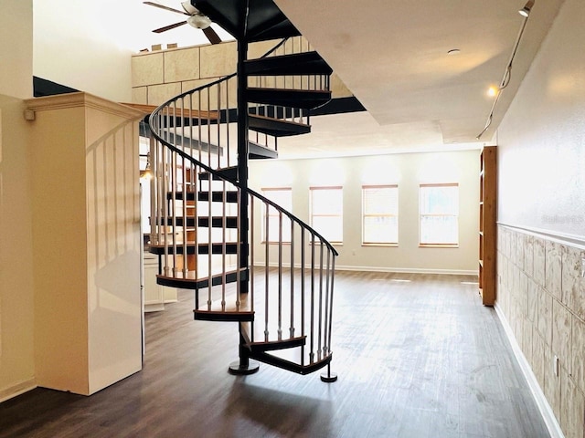 stairs with ceiling fan and wood finished floors