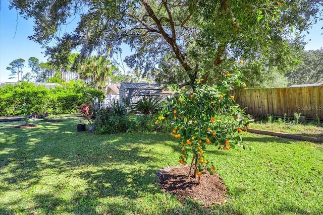 view of yard with fence