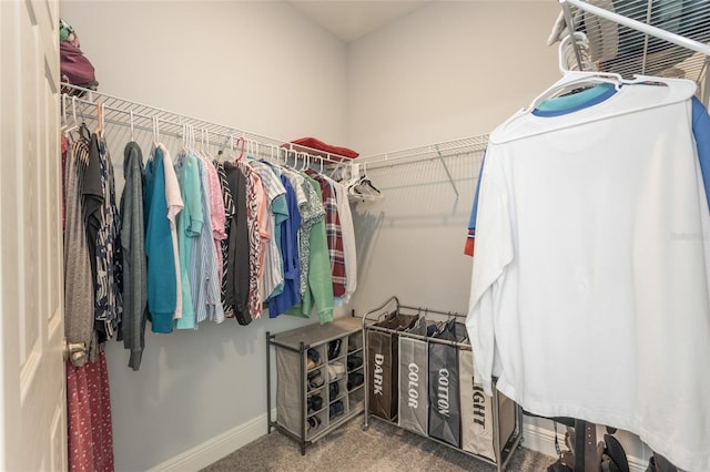 spacious closet featuring carpet floors