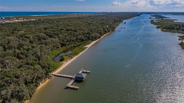 aerial view featuring a water view and a forest view