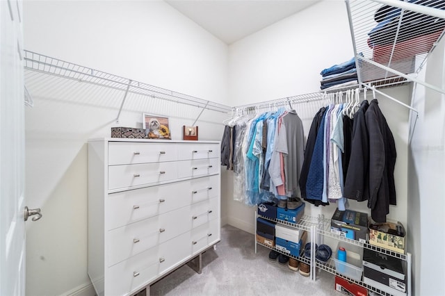 view of walk in closet