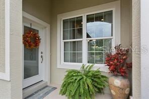 view of exterior entry with stucco siding