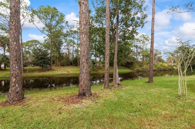 view of yard with a water view