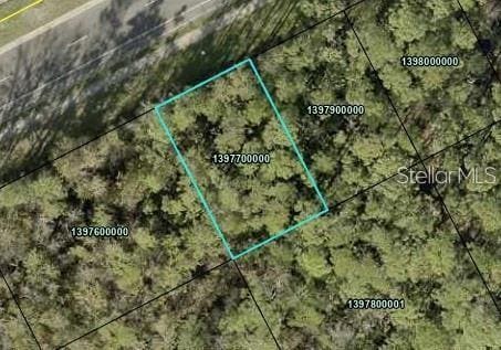 3256 State Road 207, Elkton FL, 32033 land for sale