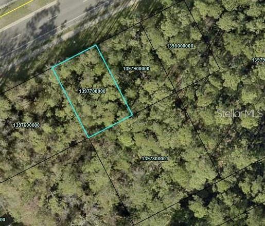 Listing photo 3 for 3256 State Road 207, Elkton FL 32033