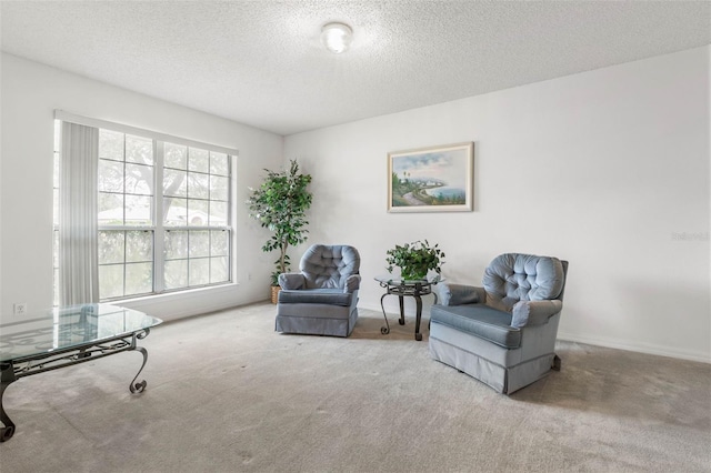 sitting room featuring light carpet and a textured ceiling