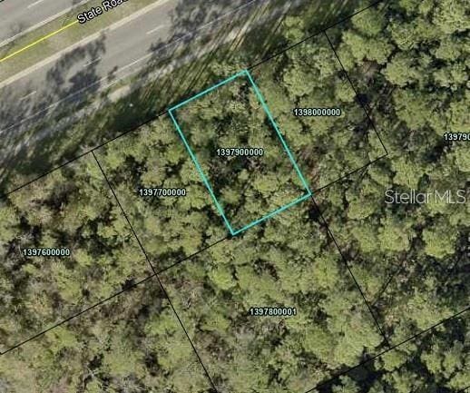 3252 State Road 207, Elkton FL, 32033 land for sale