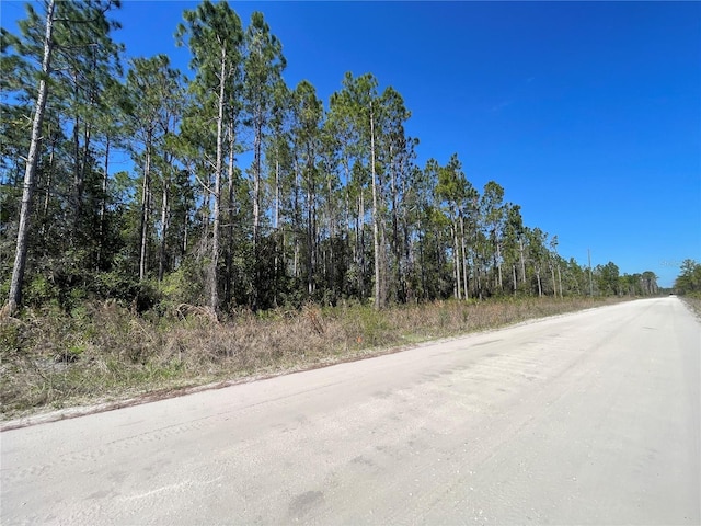 Chesser Hammock Rd, Pierson FL, 32180 land for sale