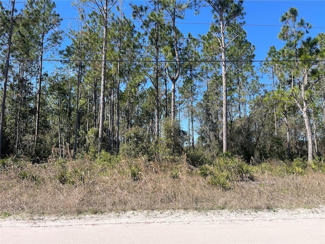 Listing photo 3 for Chesser Hammock Rd, Pierson FL 32180