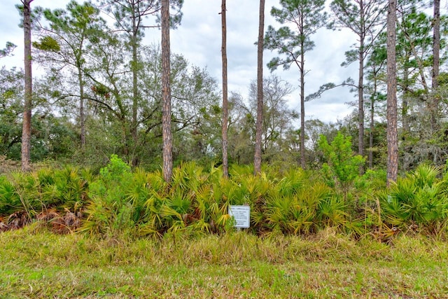 1068 Sea Shell Ct, Daytona Beach, FL 32124 - view of yard