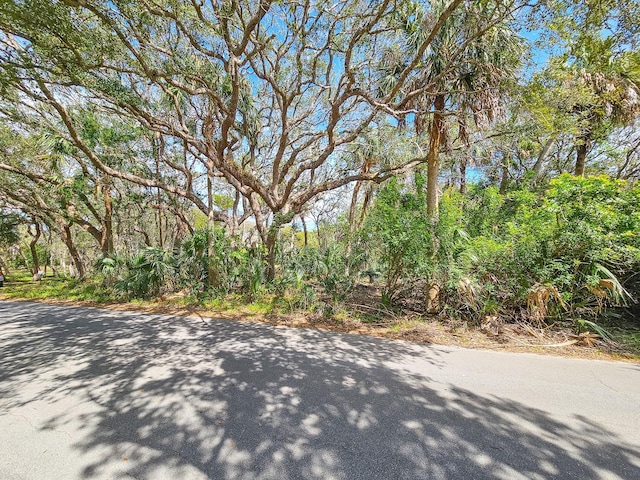 15XX S Flagler Lot 16, Flagler Beach, FL 32136 - photo 4