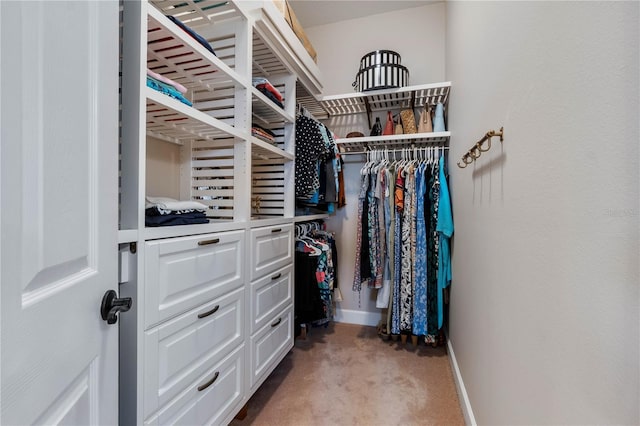 walk in closet featuring carpet flooring