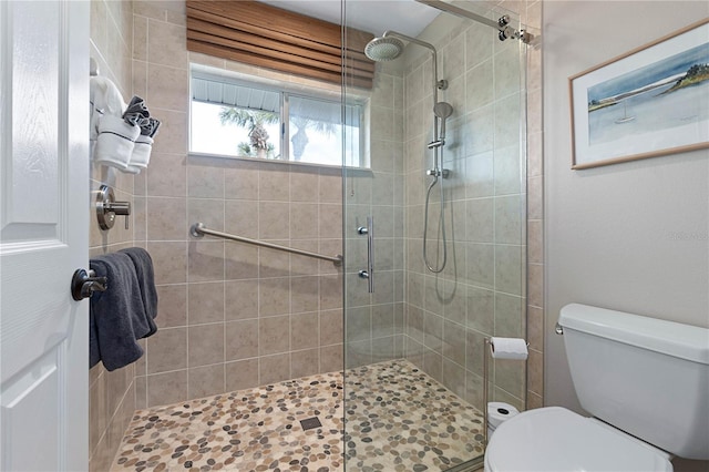 full bath featuring a shower stall and toilet