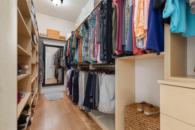 spacious closet with wood finished floors