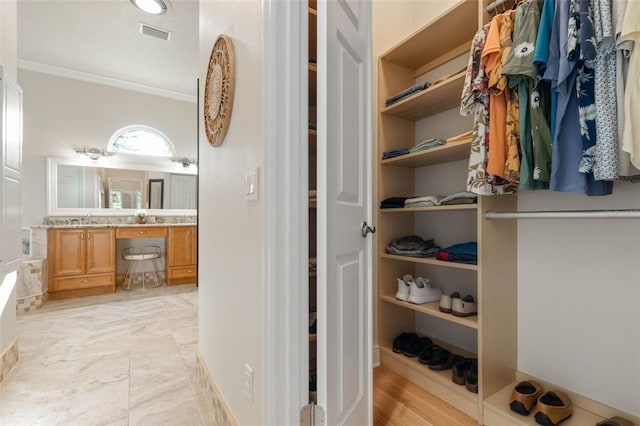 walk in closet with visible vents and a sink