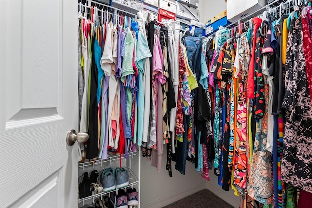 view of walk in closet