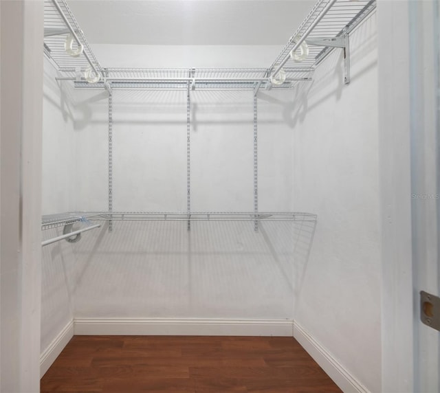 walk in closet featuring dark wood finished floors