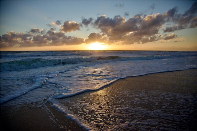 water view featuring a beach view