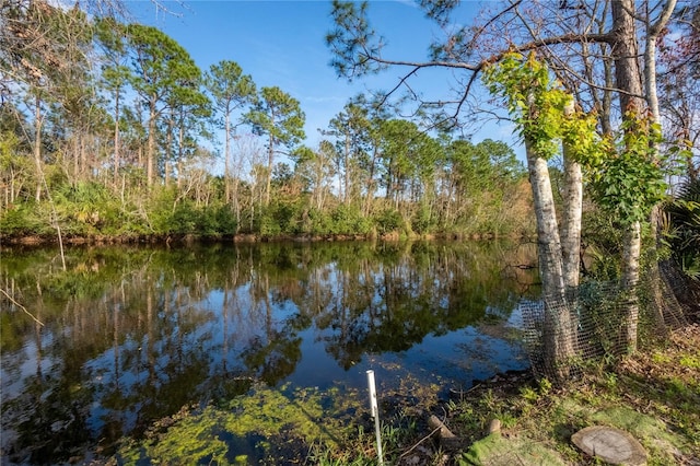 water view with a forest view