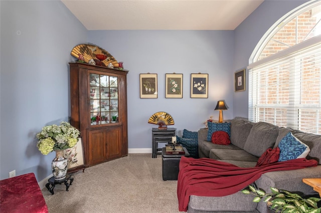 living area with carpet and baseboards