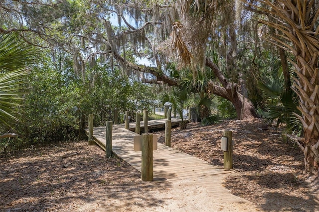 view of property's community featuring a dock