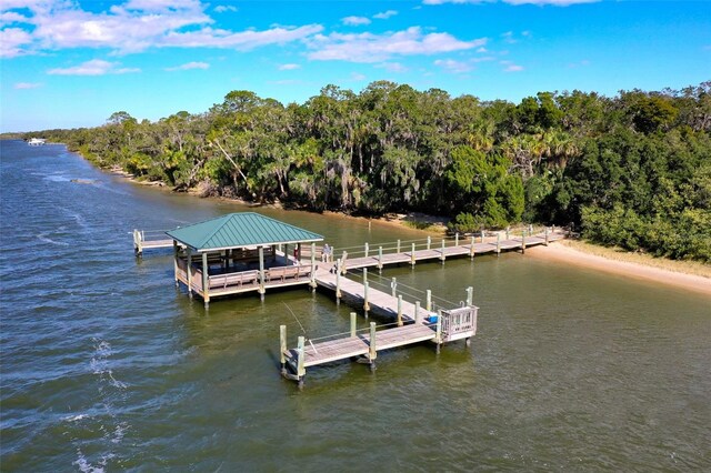 dock area featuring a water view