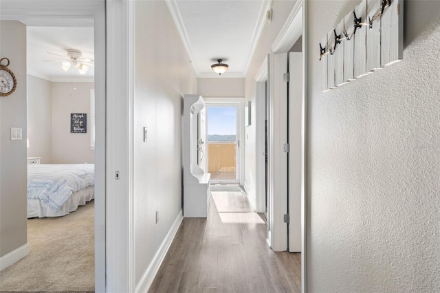 corridor featuring a textured wall, crown molding, baseboards, and wood finished floors