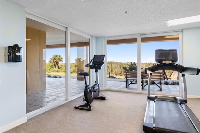 workout room featuring expansive windows, baseboards, a textured ceiling, and carpet flooring