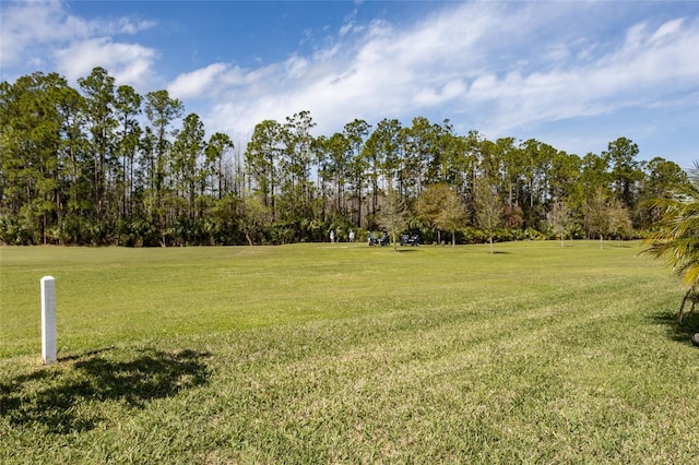 view of property's community featuring a lawn