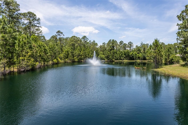 water view