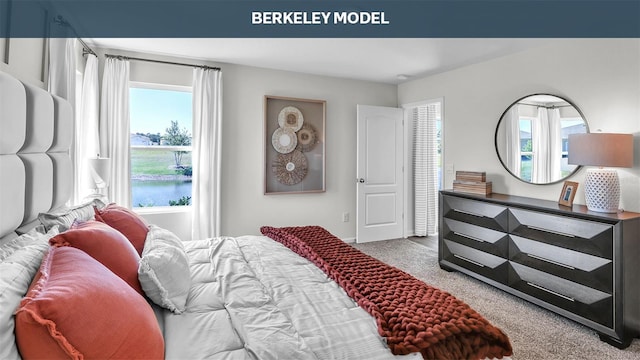 carpeted bedroom featuring multiple windows