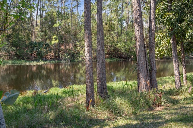 water view with a wooded view